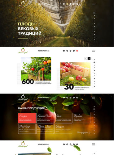 Сайт для компании «Яблоки нартов» — вековые традиции хорошего вкуса!